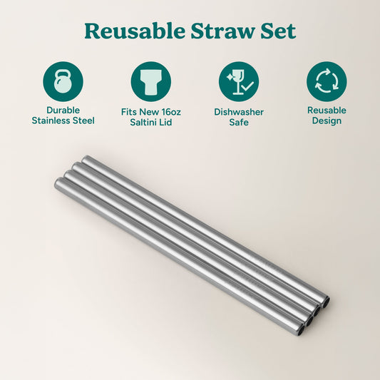 saltini-straw-set-w0 4PK_SaltiniStraws_SS-2.jpg