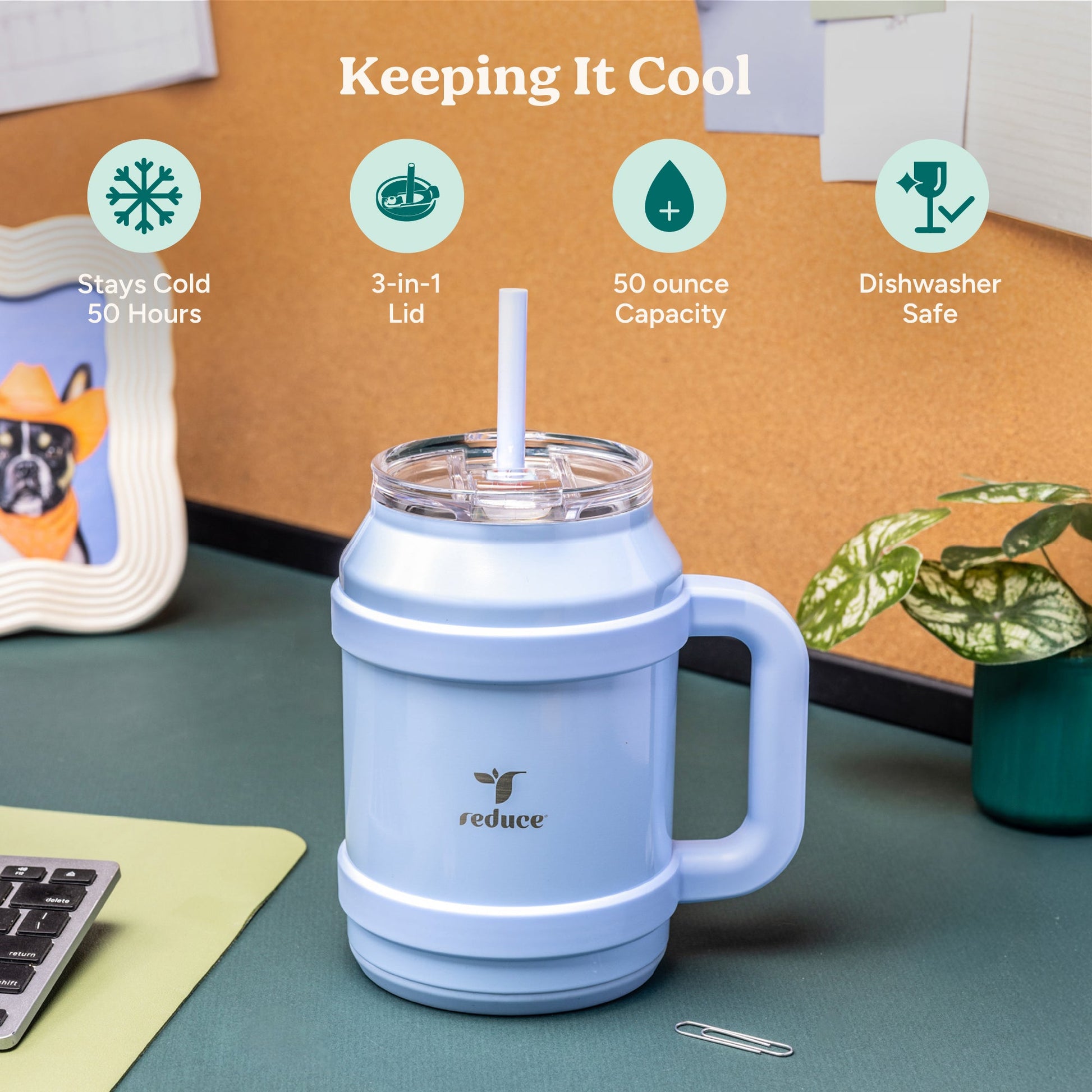 cold1-desktop-50-oz-r5 Cold1_50oz_Desktop_LilacBud_Infographic_1.jpg